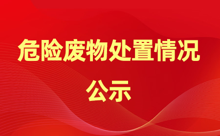 2024年危險(xiǎn)廢物產(chǎn)生、處置情況公示